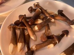 -千岛蚝高压锅生蚝·人参火锅(白云万达店)