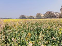 -中国天府农业博览园