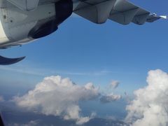 -朱利叶斯·尼雷尔国际机场