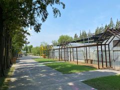 -前小桔亲子创意农场·草莓采摘·露营烧烤