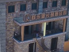 -泉城欧乐堡梦幻世界