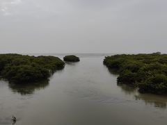 -北海金海湾红树林生态旅游区