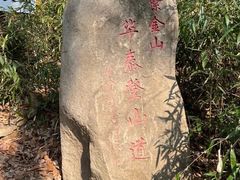 -紫金山山顶公园