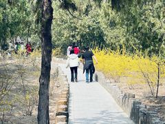 -白水寺森林公园