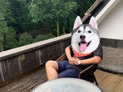 -杭州花家山庄