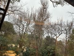 -杭州西湖柳莺里酒店·闻莺厅