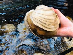 -海鲜e族(马王堆店)