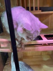 -青木造型HAIR·あおき髪を刈る潮人店