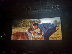 -百美汇影城(LUXE嘉里中心店)