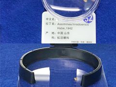 -贝壳王国博物馆