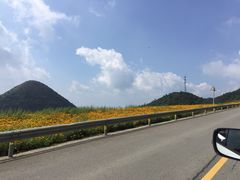 -武陵山森林公园