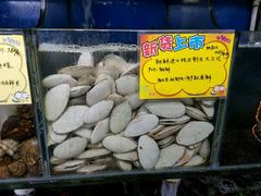 刀贝-蚝专家(北滘店)