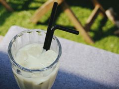 -Sirena海妖日咖夜酒