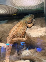 -酷嗒动物文化乐园(cutezoo西溪乐天城店)