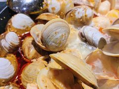 -拾下卜卜贝•海鲜火锅