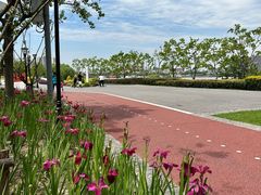 -上海山野camping·户外天幕烧烤·团建拓展营地