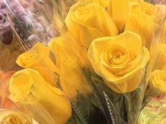 -循礼门鲜花花市(武汉循礼门店)