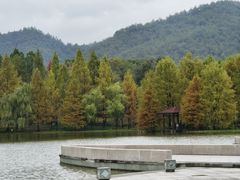 -浙江农林大学(东湖校区)
