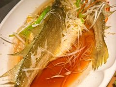 -前海沿·青岛菜(大拇指广场石老人店)