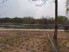 -大兴滨河森林公园