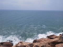 -广东惠东海龟国家级自然保护区