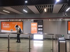 -桃浦新村(地铁站)