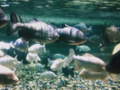 -成都浩海立方海洋公园