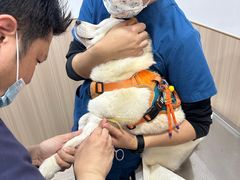 -申普宠物医院·眼科·心内科·影像科(普陀分院)