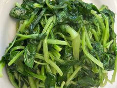 清炒鸡毛菜-峨嵋酒家(德内店)