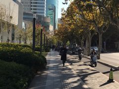 -威尔仕健身(虹桥南丰城店)