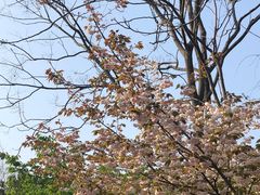 -南山风景名胜区