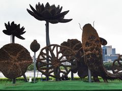 -莲花池公园