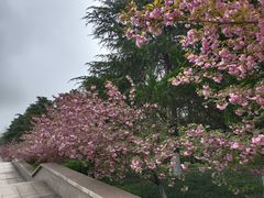 -大蜀山国家森林公园