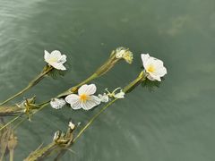 -丽江泸沽湖景区