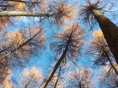 -硗碛藏寨·神木垒景区