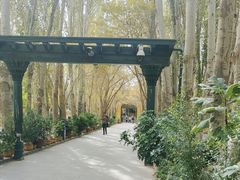 -艾提尕尔清真寺