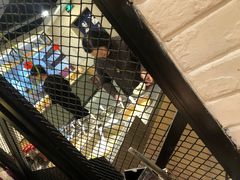 -彤德莱(青岛人民路店)