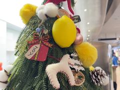 -introlemons(西单更新场·北京首店)