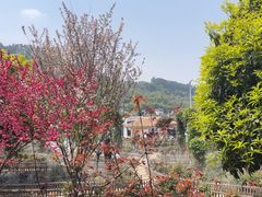 -玫瑰庄园·自助烧烤·烤全羊·团建拓展(龙泉山店)