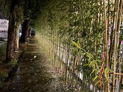 -向外鱼乐·土菜·虹鳟鱼