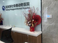 -北京派仕佳德动物医院·超导核磁·CT·神经科·骨科·内外科·急重症管理中心