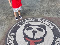 -腾爱熊猫咖啡生活馆(老东门店)