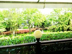 -向日葵咖啡