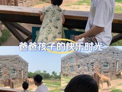 -太原动物园