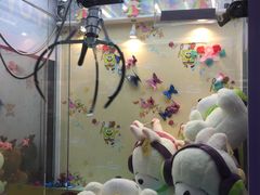 -爱玩嘉年华(成都北城天街店)