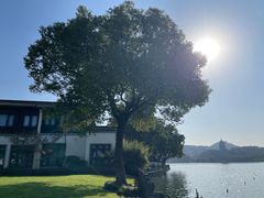 -杭州西湖柳莺里酒店·闻莺厅