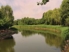 -大兴滨河森林公园