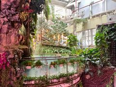 -正佳雨林生态植物园