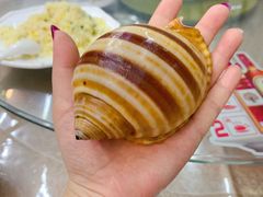 -哈味食店(外伶仃岛店)
