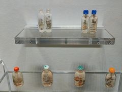 -四川大学博物馆